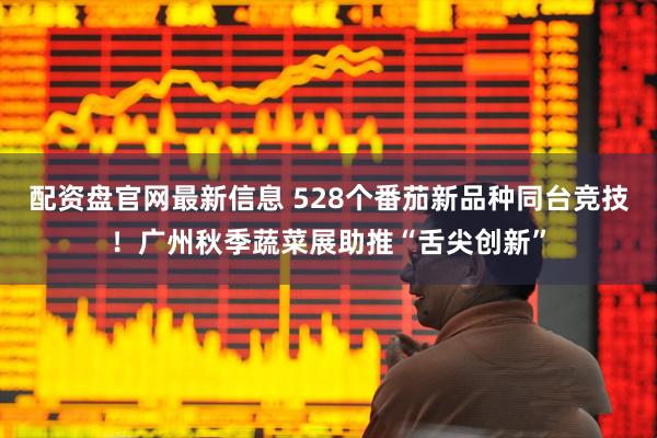 配资盘官网最新信息 528个番茄新品种同台竞技！广州秋季蔬菜展助推“舌尖创新”